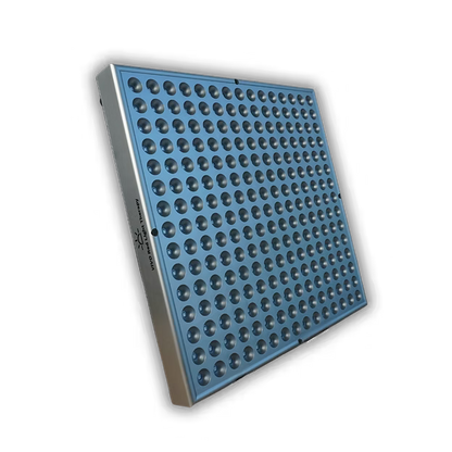 BioPhoton 3.0
