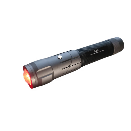 Torch 2.0